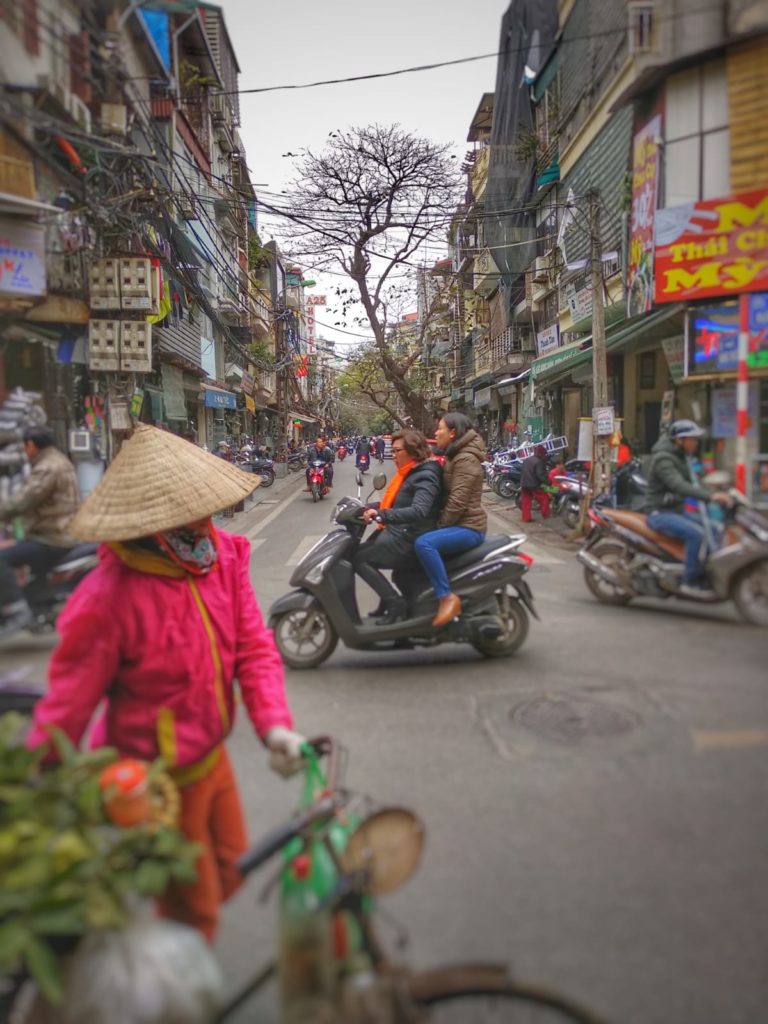 Qué ver en Hanoi - calle Old Quarter árbol tráfico