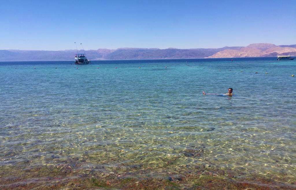 Snorkel gratis en el Mar Rojo, Áqaba (Jordania)