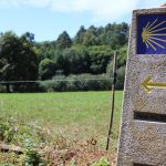 Camino del Norte (desde Vilalba)