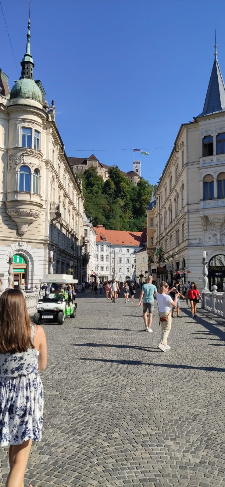 Castillo de Liublina - 10 imprescindibles que ver o hacer en Liubliana