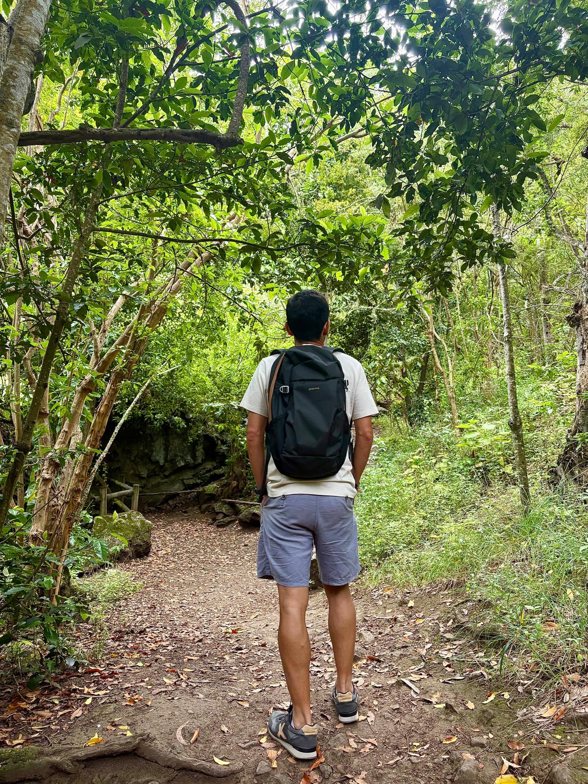 Ruta del Tilo - Imprescindibles de Gran Canaria qué ver y hacer en la isla.