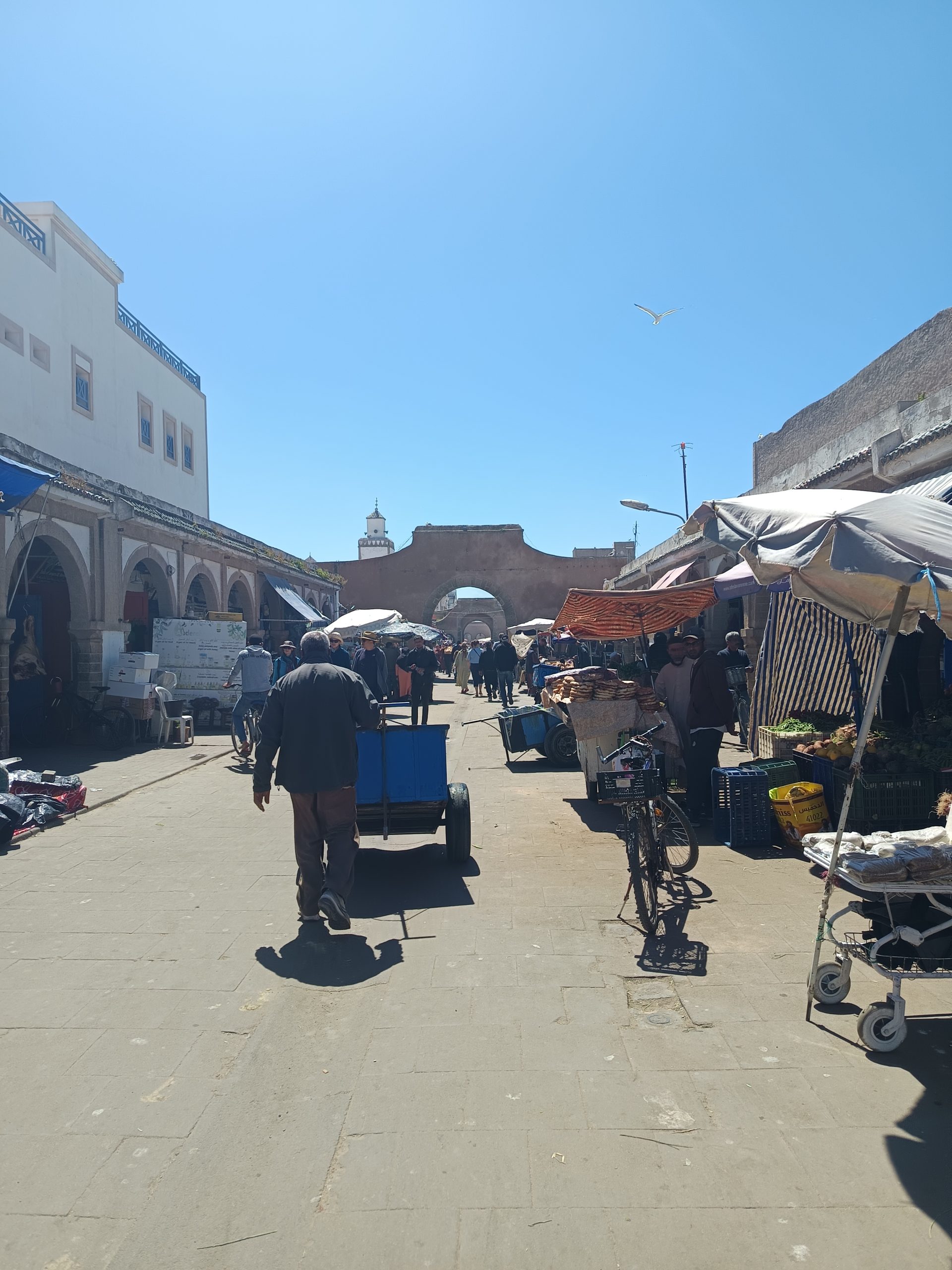Medina de Essaouira - Ruta circular por Marruecos en autocaravana